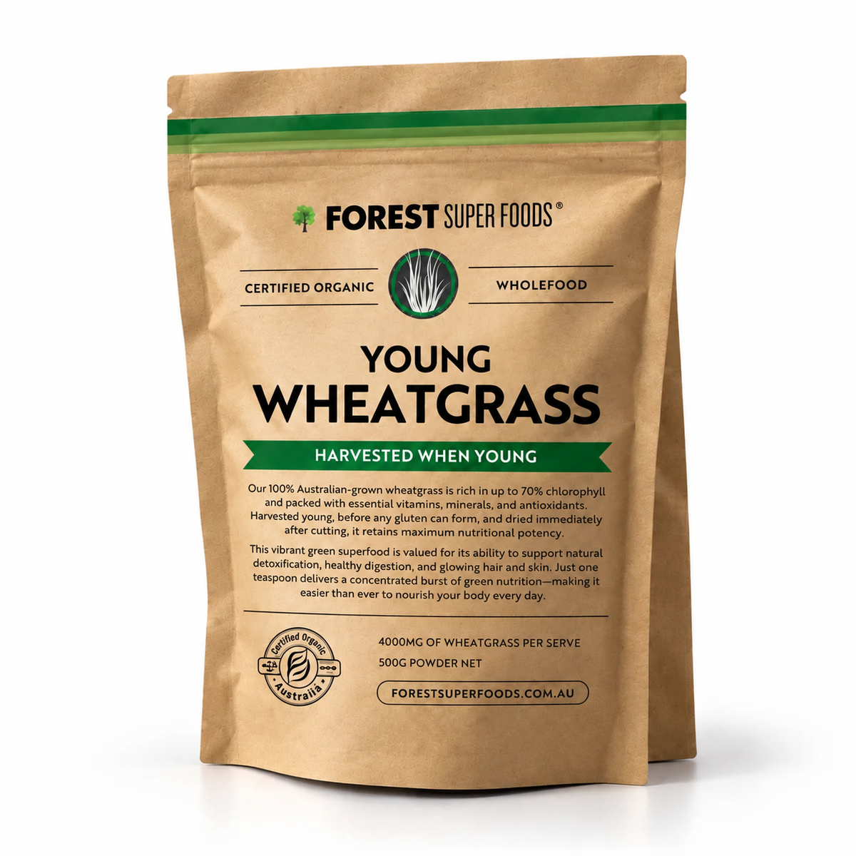 Australian Young Wheatgrass