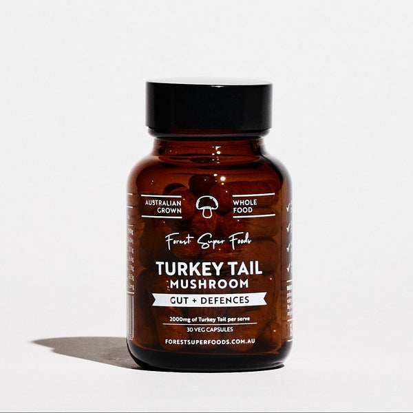 Mini Turkey Tail Capsules